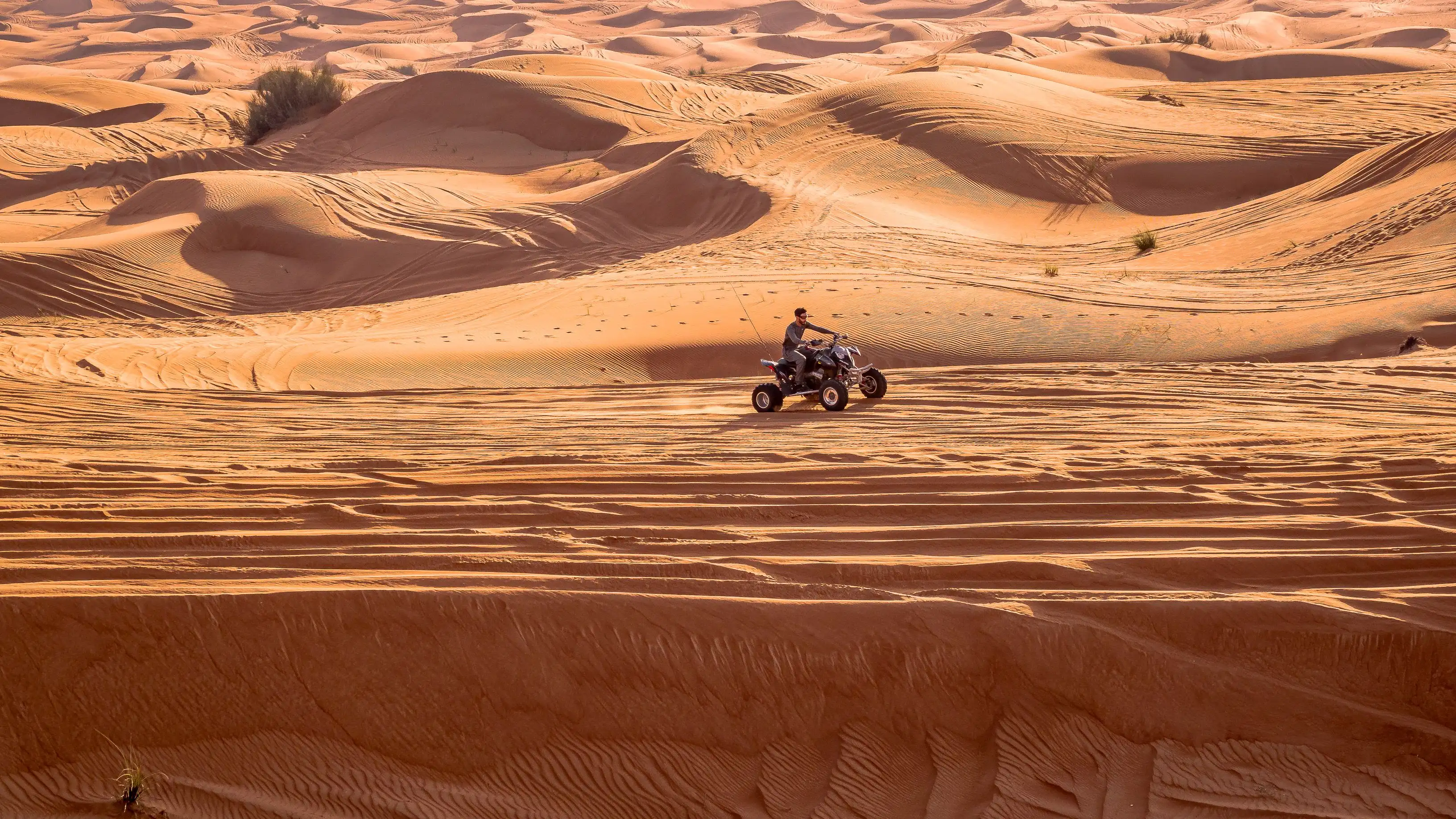 Abu Dhabi desert dunes at sunset