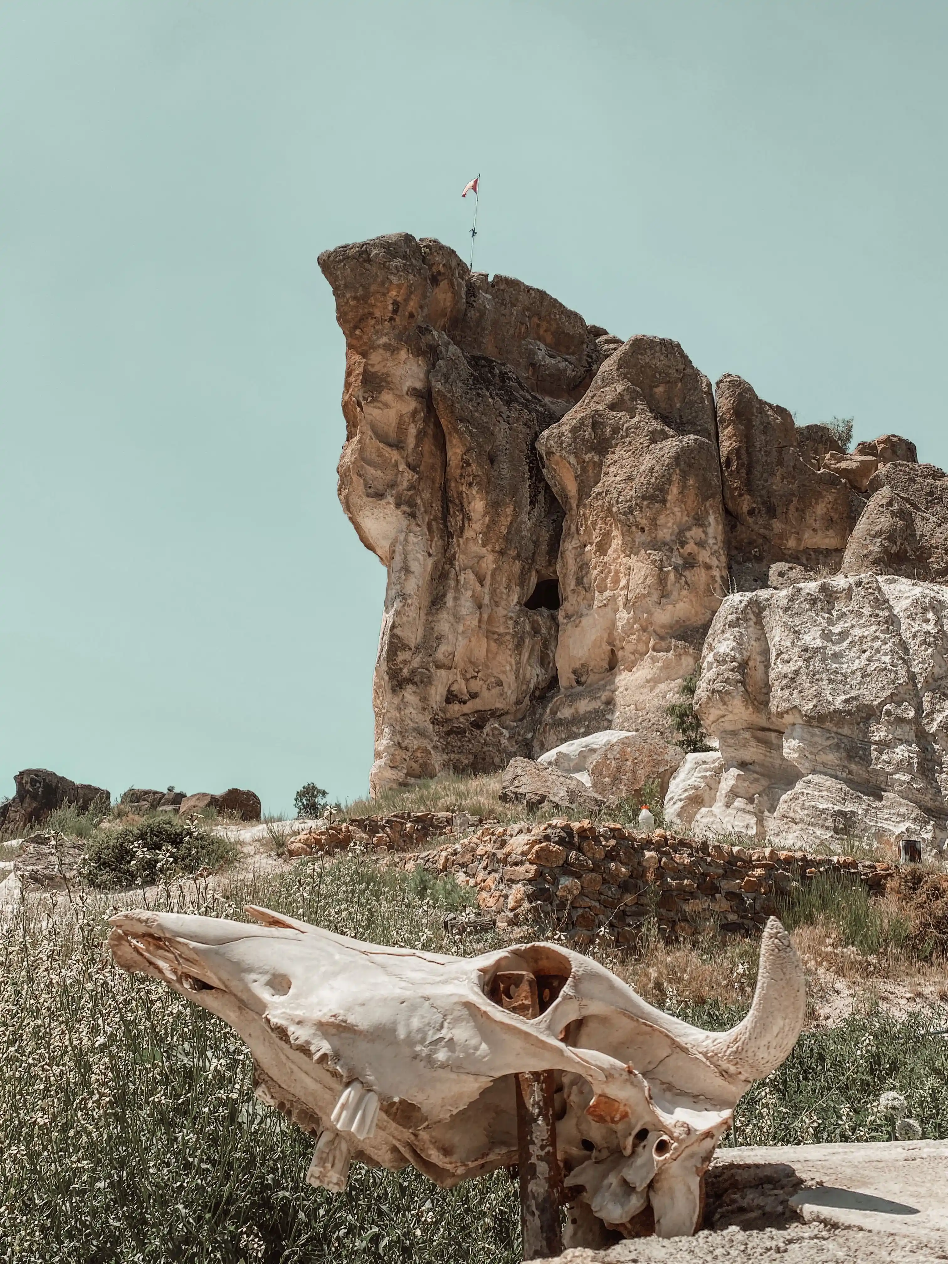 Gobustan rock carvings