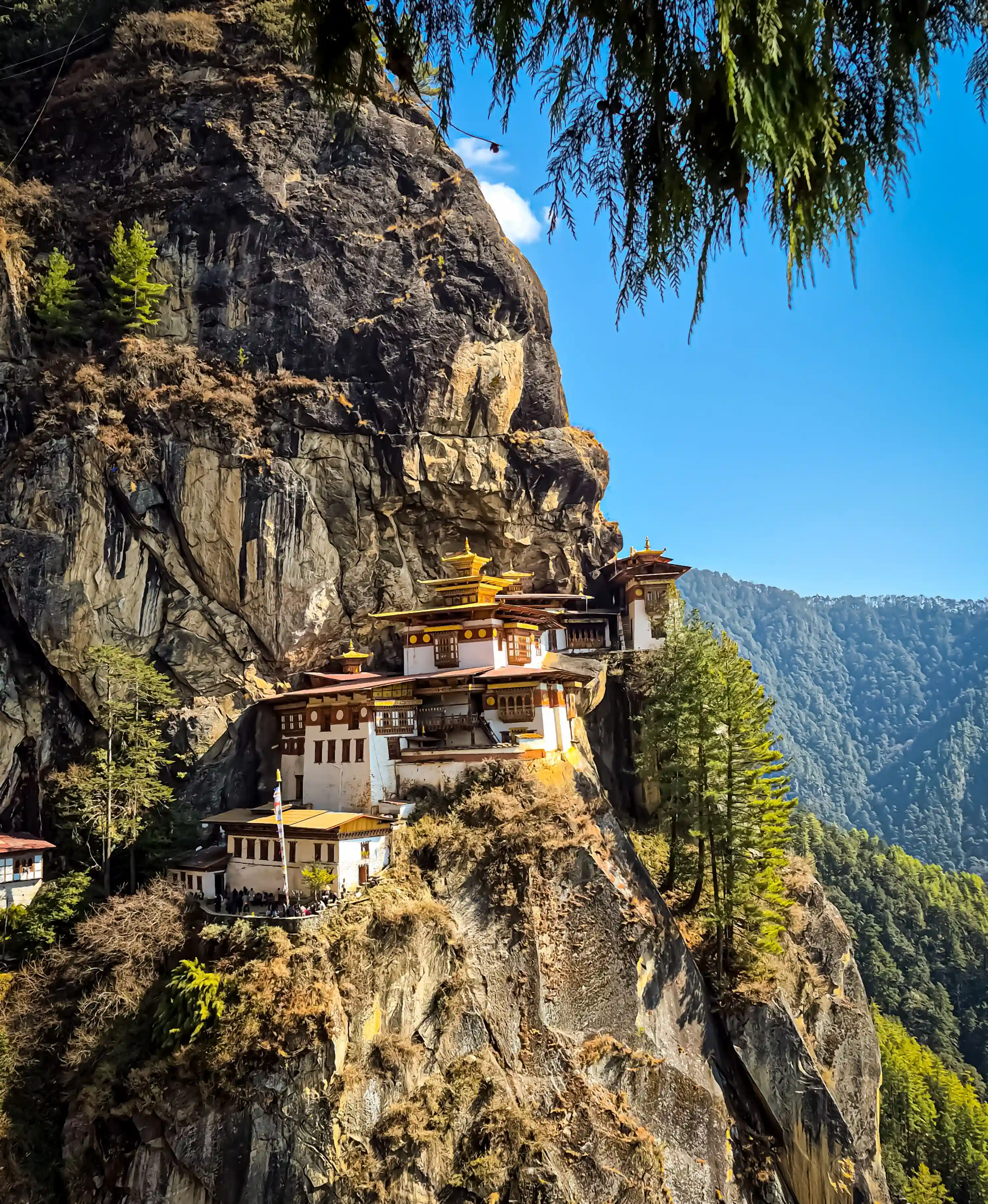 Punakha Dzong fortress