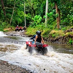 Photo shared by Somya Tiwari in their review: riders on red quad bikes crossing a stream in the forest
